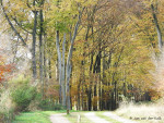 Mosbeekweg